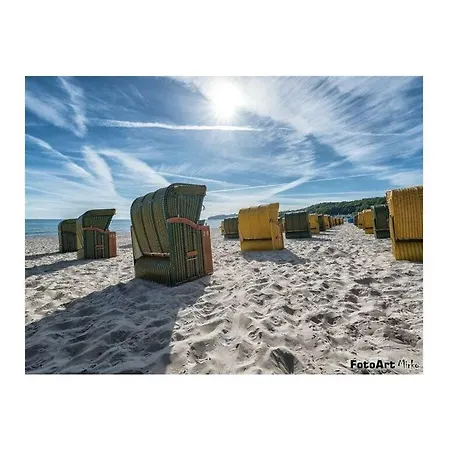 Belvital 39 * Binz